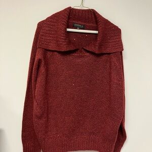 Joseph A.  Women's Glittering Rust Turtleneck Sweater, XXL